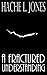 A Fractured Understanding by Hache L. Jones