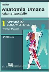 Anatomia umana. Apparato locomotore