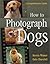 How to Photograph Dogs by Kerrin Winter How to Photograph Dogs by Kerrin Winter