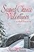Second Chance Valentines (Second Chance Love Story #2)