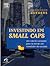 Investindo em Small Caps