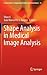 Shape Analysis in Medical Image Analysis (Lecture Notes in Computational Vision and Biomechanics, 14)