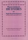 120 Studies for Right Hand Development (Classical Guitar Study Series) 120 Studies for Right Hand Development (Classical Guitar Study Series)