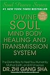 Divine Soul Mind ...