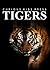 Tigers - Learn about Tigers with amazing photos (Curious Kids Press Book 3)