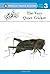The Very Quiet Cricket (Penguin Young Readers, Level 3)