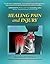 Healing Pain and Injury