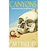 Canyons