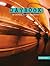 Daybooks of Critical Reading and Writing