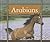 Arabians (Majestic Horses)