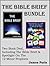 Bible Summary Bundle: Two Book Deal - Including The Bible Brief, & Spotlight On The 12 Minor Prophets - Bible Study & Reference Guidebooks