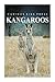 Kangaroo - Curious Kids Press