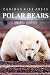 Polar Bears - Curious Kids ...