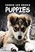Puppies - Sandie Lee Books (children's animal books age 4-6, wildlife photography, animal books nonfiction)
