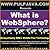 What is WebSphere? Java, J2EE, Portal and Beyond! (Demystifying IBM's Middle Tier Technology, Vol. 1)