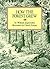 How the Forest Grew by William Jaspersohn