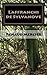 L'affranchi de Sylvanove: Les gens de Sylvanove 1 (French Edition)