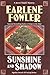 Sunshine and Shadow (Benni Harper, #10)