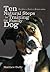 Ten Natural Steps to Training the Family Dog by Matthew Duffy