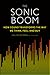 The Sonic Boom: How Sound T...