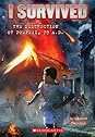 I Survived the Destruction of Pompeii, AD 79 (I Survived, #10)