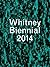 Whitney Biennial 2014 by Stuart Comer