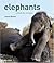 Elephants: A Book for Children