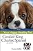 Cavalier King Charles Spaniel by Norma Moffat