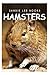Hamsters - Sandie Lee Books (children's animal books age 4-6, wildlife photography, animal books nonfiction)