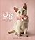 The Cat's Pajamas by Rachael Hale