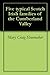 Five typical Scotch Irish families of the Cumberland Valley