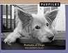 Pawfiles by Kim Levin