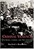 Criminal Violence : Pattern...
