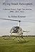 Flying Small Helicopters (C...