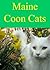 Maine Coon Cats - An Interactive Games Quiz Book