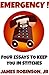 Emergency! Four Essays To K...
