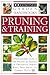 Pruning and Training (Eyewi...
