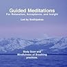 Guided Meditations: For Relaxation, Acceptance, and Insight