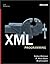 XML Programming by R. Allen Wyke