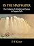 In the Mad Water: Two Centuries of Adventure and Lunacy at Niagara Falls