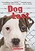 Dog Lost by Ingrid Lee