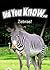 Zebras (Did You Know)