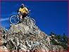 Everything You Need to Know About Mountain Biking