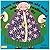 There Was an Old Lady Who Swallowed a Fly by Pam Adams
