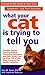 What Your Cat Is Trying To Tell You