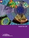Inside the Cell –...
