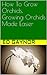 How To Grow Orchids, Growing Orchids Made Easier