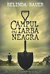 Campul cu iarba n...