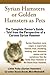 Syrian Hamsters or Golden Hamsters as Pets.