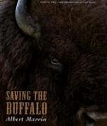 Saving the Buffalo (Hardcover)